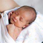 Harapan Hidup Bayi Baru