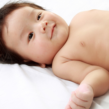 Gurita untuk Pusar Bayi