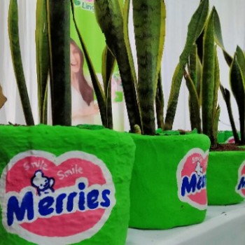 Popok Bayi Bisa Disulap Jadi Pot Tanaman 