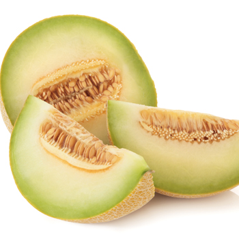 Olahan Melon Untuk Makanan Bayi