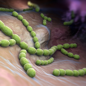 Cegah Tertular Virus Pneumokokus pada Anak dengan Vaksinasi