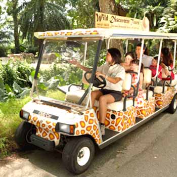 Singapore Zoo