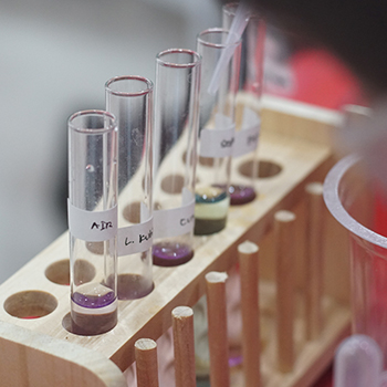 8 Langkah Mengembangkan Minat Sains Anak