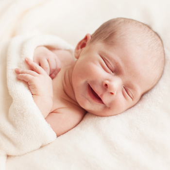 Tahap Perkembangan Penciuman Bayi