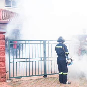 6 Informasi Penting Seputar Fogging di Rumah