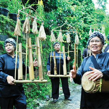 Tak Hanya ke Kebun Raya, lho. Ini Destinasi Seru Bogor Lainnya