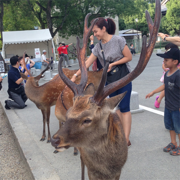 Wisata ke Osaka, Jepang