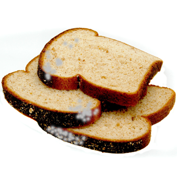 Jamur di Roti. Bahaya, lho!