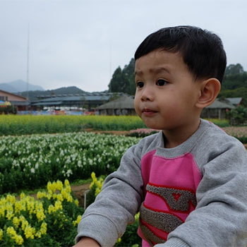 Panduan Berkebun untuk Balita 