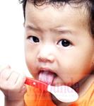 Tahapan Indera Pengecap Bayi          