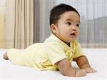 Pesatnya Tumbuh Kembang Bayi 6-12 Bulan