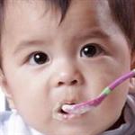 Tahap Ketrampilan Makan Bayi