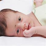 Bayi Lahir Besar