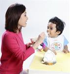 Aturan Makan Bayi 