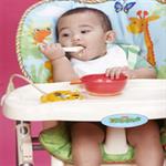 Elemen Penting Highchair