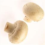 Cegah Jamur di Vagina
