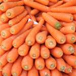 Wortel, Si Jingga yang Sarat Vitamin