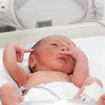 Anak Kurang BB