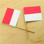 Anak Cinta Indonesia!