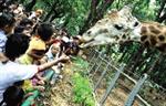 Membidik Tujuan Bepergian Bareng Anak 