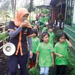 Little Farmer